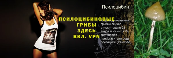spice Верея