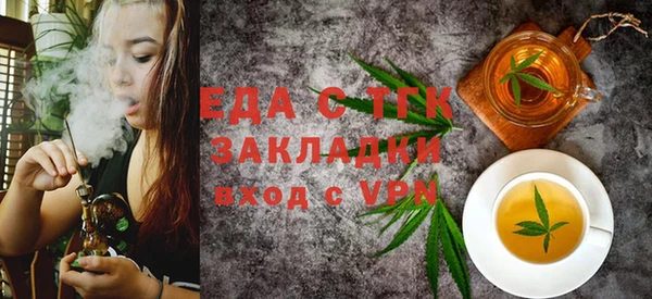 хмурый Тайга