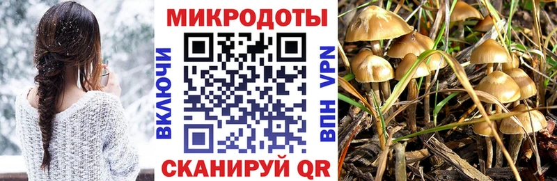 Псилоцибиновые грибы ЛСД  сайты даркнета официальный сайт  Касимов  МЕГА ТОР 